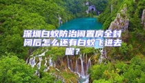 深圳白蟻防治閑置房全封閉后怎么還有白蟻飛進(jìn)去呢？