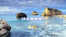 什么是螨蟲？