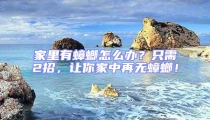 家里有蟑螂怎么辦？只需2招，讓你家中再無蟑螂！