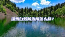 深圳白蟻防治所怎么樣？