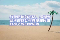 白蟻防治的方法，深圳專業(yè)滅白蟻公司教你如何做好房子的白蟻防治