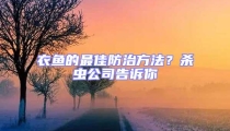 衣魚的最佳防治方法？殺蟲公司告訴你