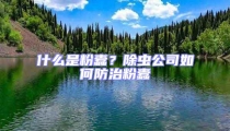 什么是粉蠹？除蟲公司如何防治粉蠹