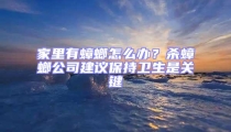 家里有蟑螂怎么辦？殺蟑螂公司建議保持衛(wèi)生是關鍵